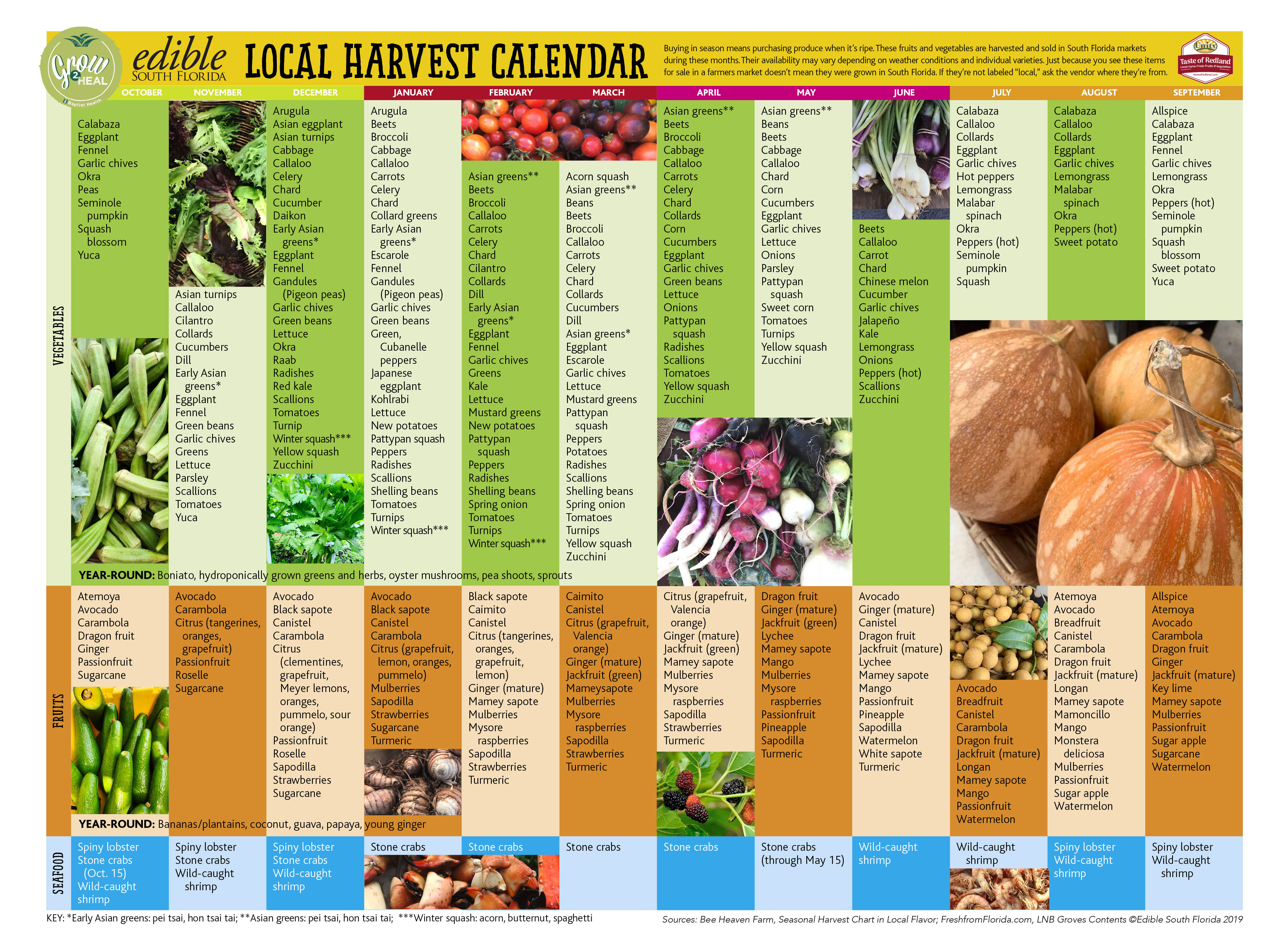 What's In Season? The South Florida Harvest Calendar Edible South Florida